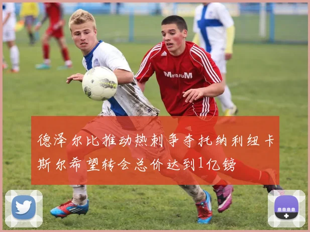 德泽尔比推动热刺争夺托纳利纽卡斯尔希望转会总价达到1亿镑