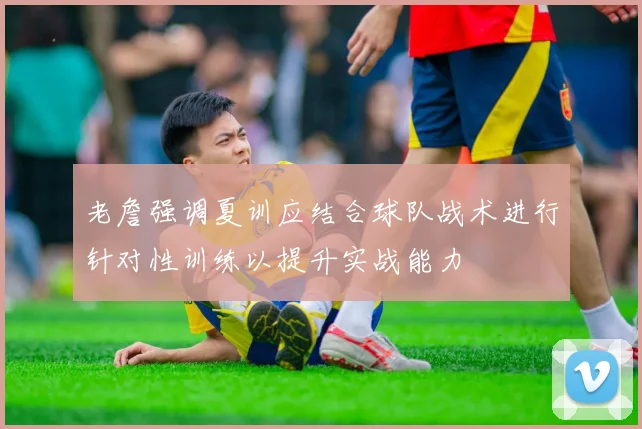 老詹强调夏训应结合球队战术进行针对性训练以提升实战能力